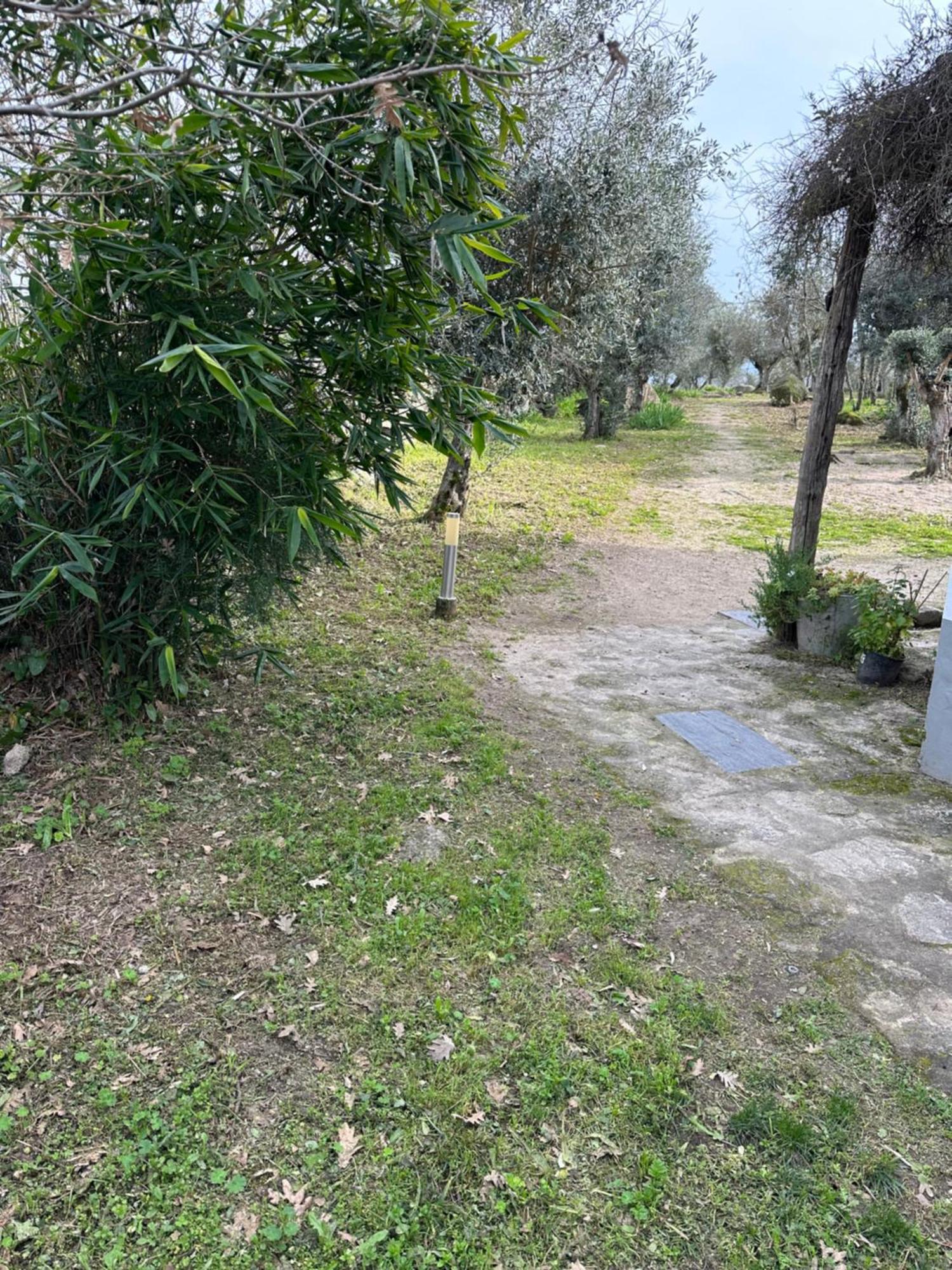 Monte Das Mariolas Castelo de Vide Luaran gambar